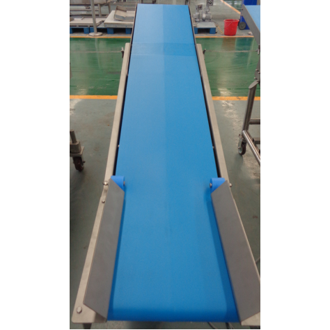 2D Dicer and Slicer Conveyor Belt