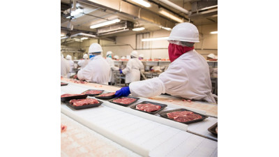 What Is the Meat Processing Industry? A Comprehensive Overview