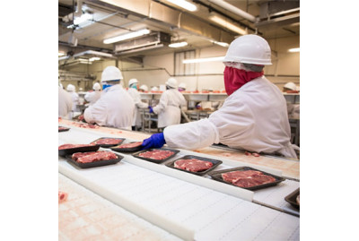 What Is the Meat Processing Industry? A Comprehensive Overview