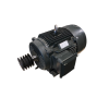 Electric Motor HBTL