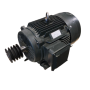Electric Motor HBTL