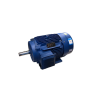 3-Phase Asynchronous Motor