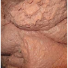 Stage 4: Industrial Bone Paste Emulsifier (CM-240)