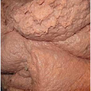 Stage 4: Industrial Bone Paste Emulsifier (CM-240)