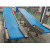 2D Dicer and Slicer Conveyor Belt