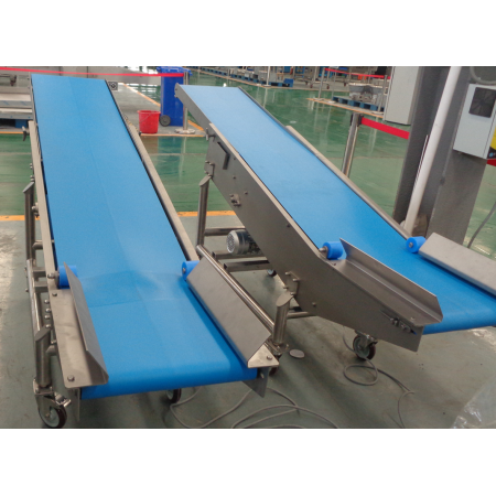 2D Dicer and Slicer Conveyor Belt