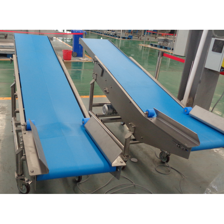 2D Dicer and Slicer Conveyor Belt