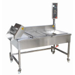Inline Fryers