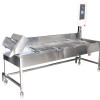 Continuous Belt Line Fryers CF-90