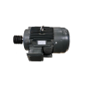 Electric Motor HBTL