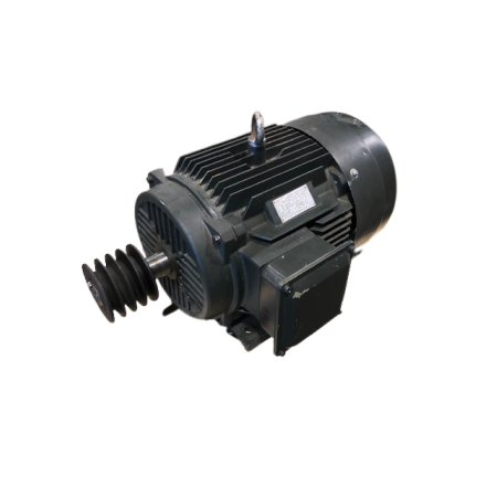 Electric Motor HBTL