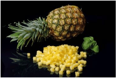 Tecnotrip Vegetable Dicer TDSH-140